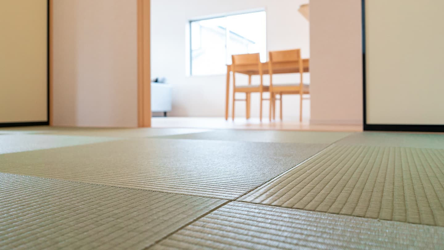 意外と知られていない、シロアリ対策の内容