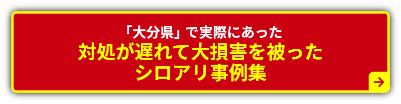 「大分県」で実際にあった対処が遅れて大損害を被ったシロアリ事例集