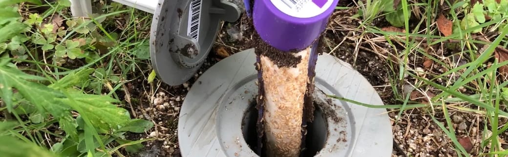 最上級予防プラン