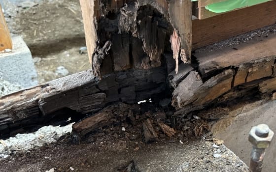 羽アリを放置、建て替えに|大分市の住宅