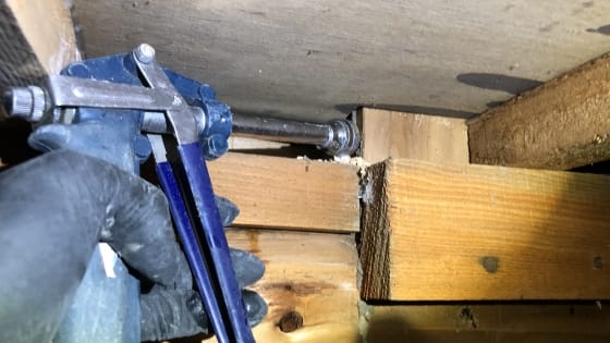 羽アリを放置、建て替えに写真4