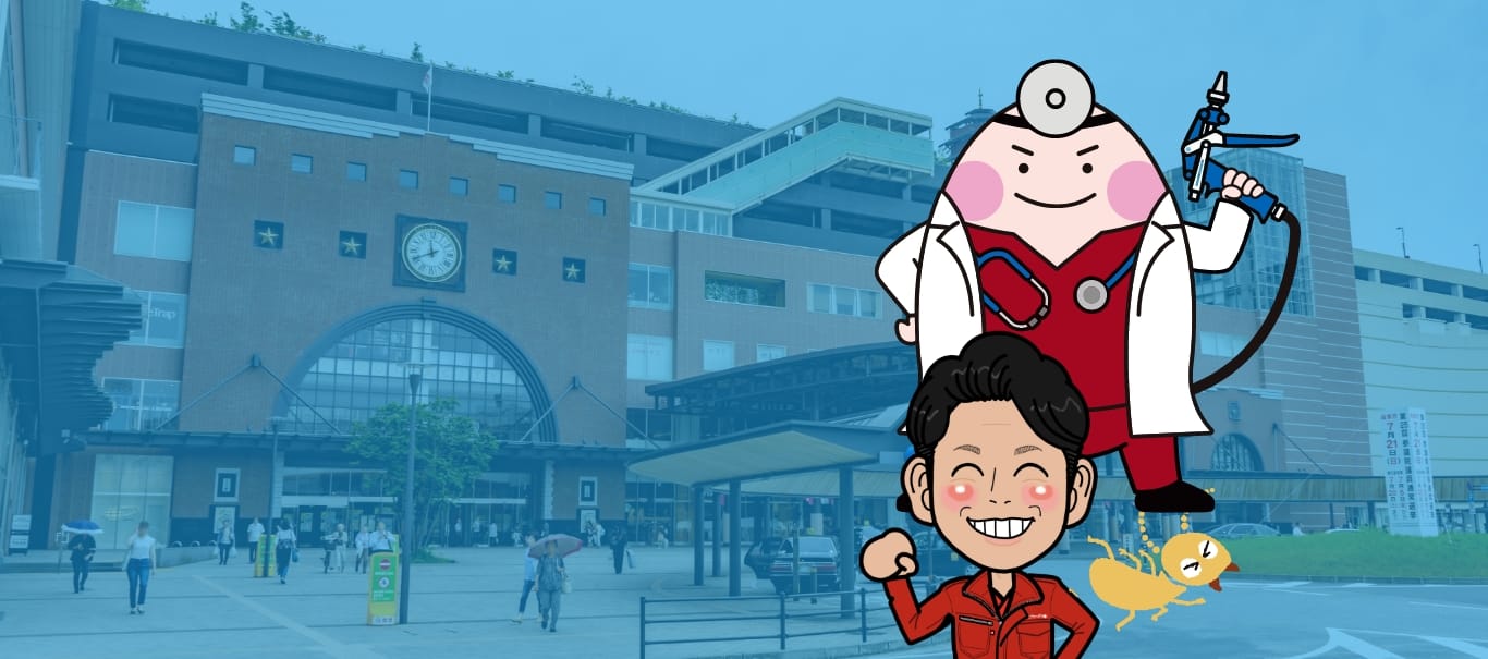 シロアリ駆除･予防専門店