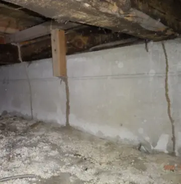 今日は日田市でシロアリ調査。ご依頼増えてます(^^)