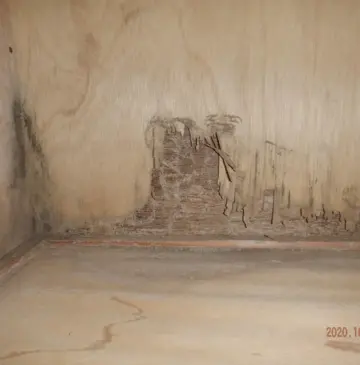 「あれ！？」大掃除の時にシロアリが見つかるかも