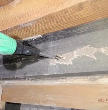 巣ごもり利用して床下点検しましょう