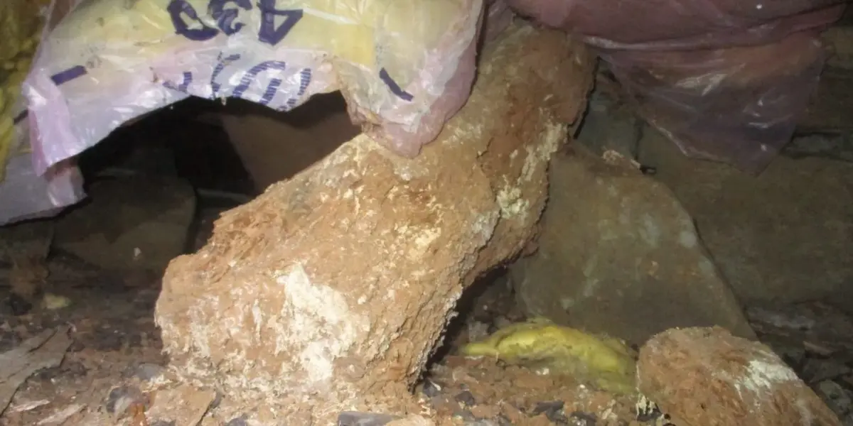 水漏れ→→→シロアリ！！！