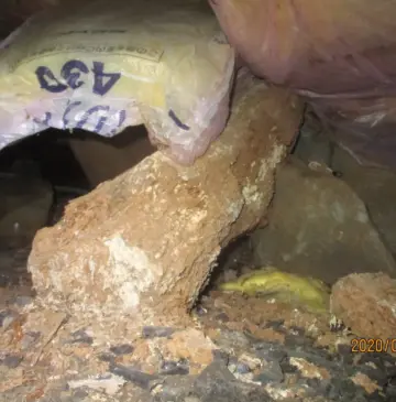 水漏れ→→→シロアリ！！！