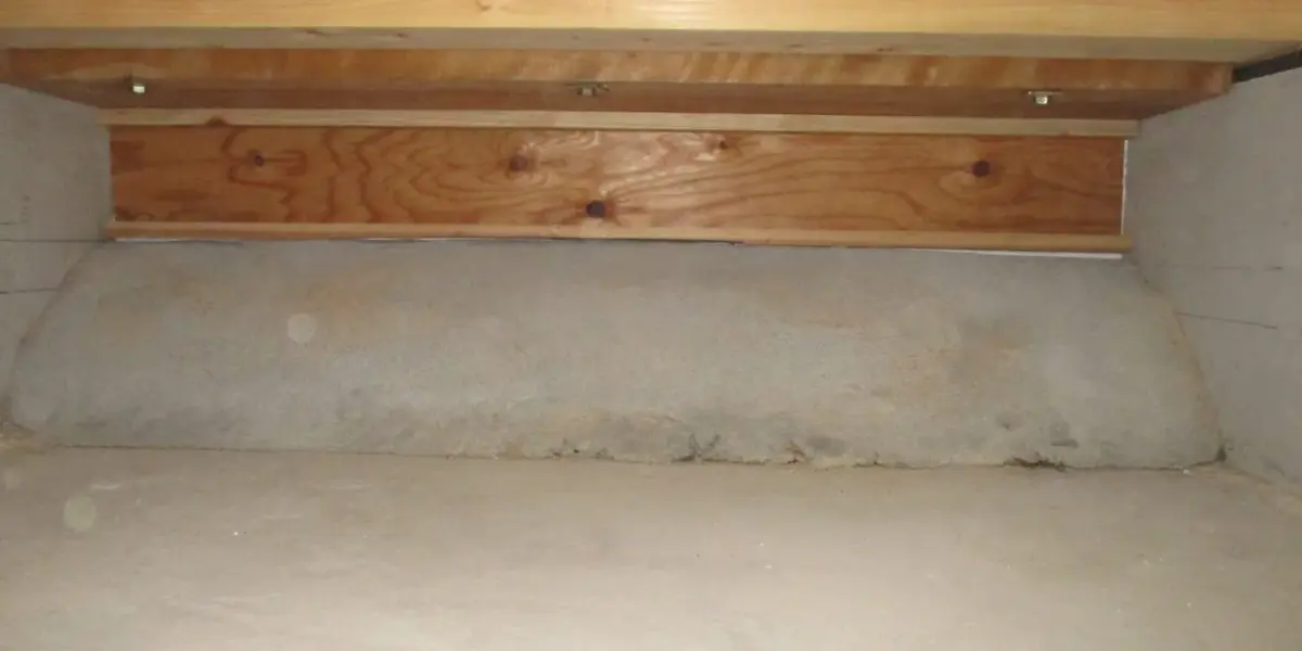 シロアリコンサルタント