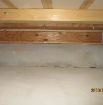 シロアリコンサルタント