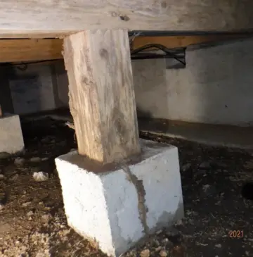 大分県由布市某所にてシロアリ駆除