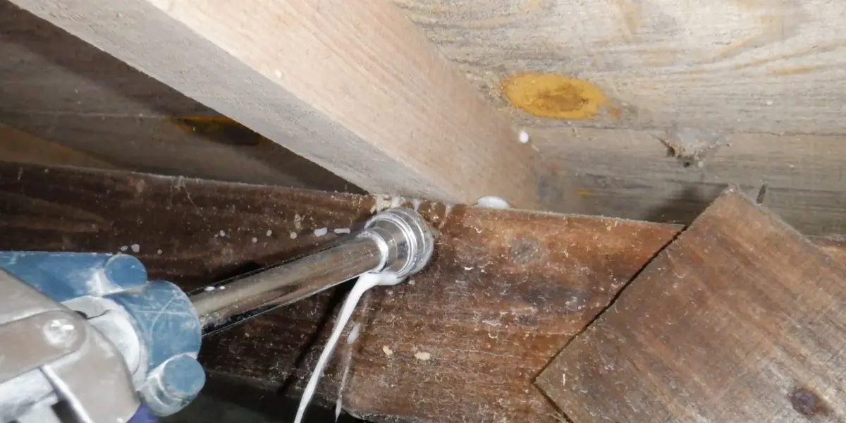 謙虚にして驕らず、さらに努力を