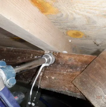 謙虚にして驕らず、さらに努力を