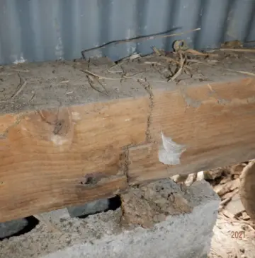 徳を積む、人間性を高める。これ以外にない