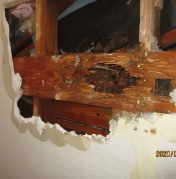 シロアリ+リフォームもお任せ下さい