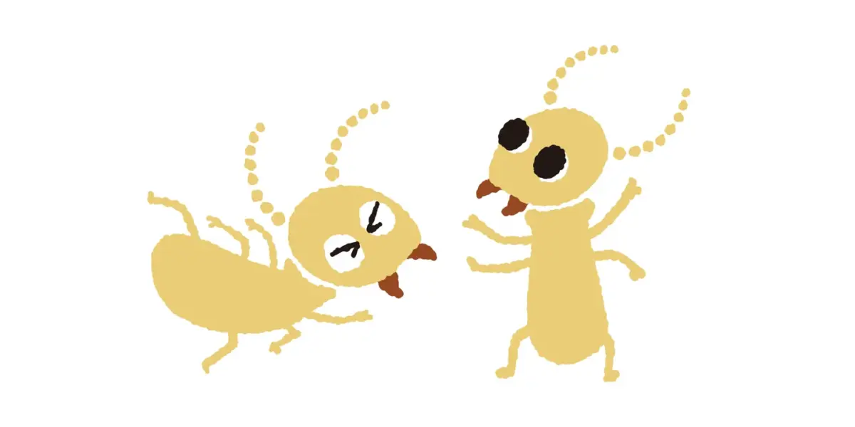 webCMを製作して頂きました