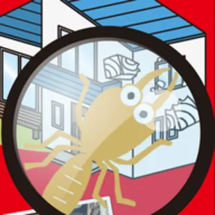 4/17　大分県もそろそろ羽アリ出ます