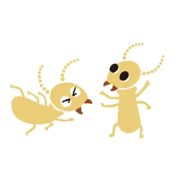 ご予約はお早めに(^▽^)/