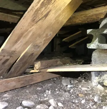 羽アリが大分県各所で飛んでいます