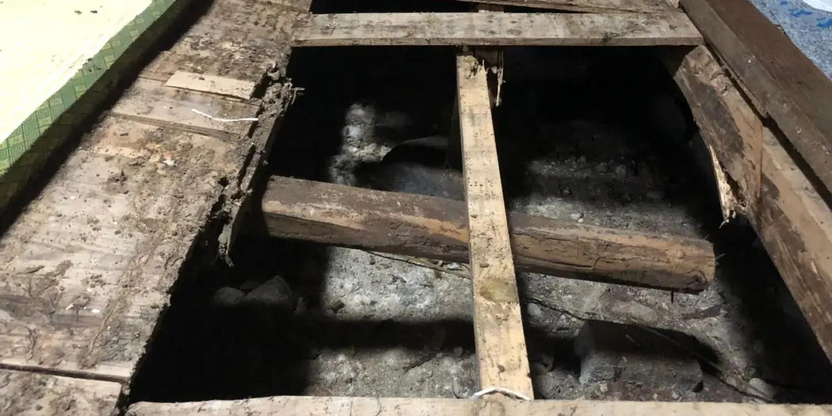 シロアリの羽アリまだまだ群飛中