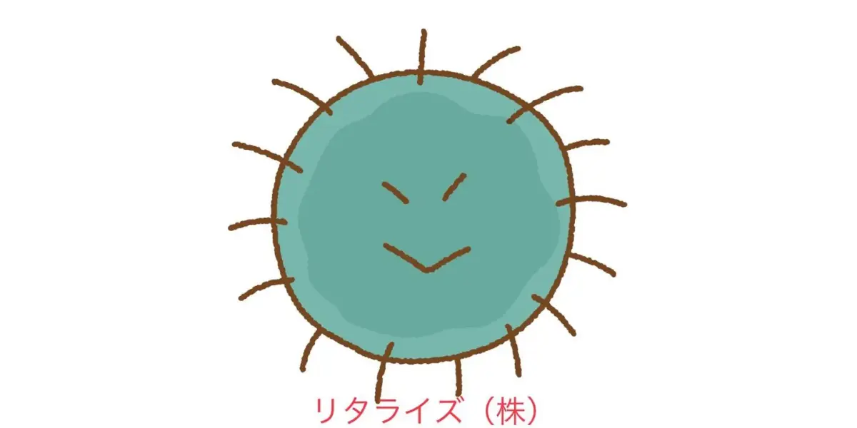 2023年はカビ対策も宜しくお願い致します