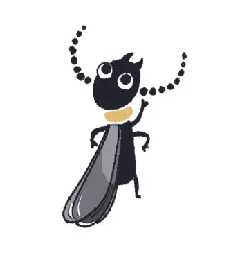 ヤマトシロアリの飛ぶ季節到来します