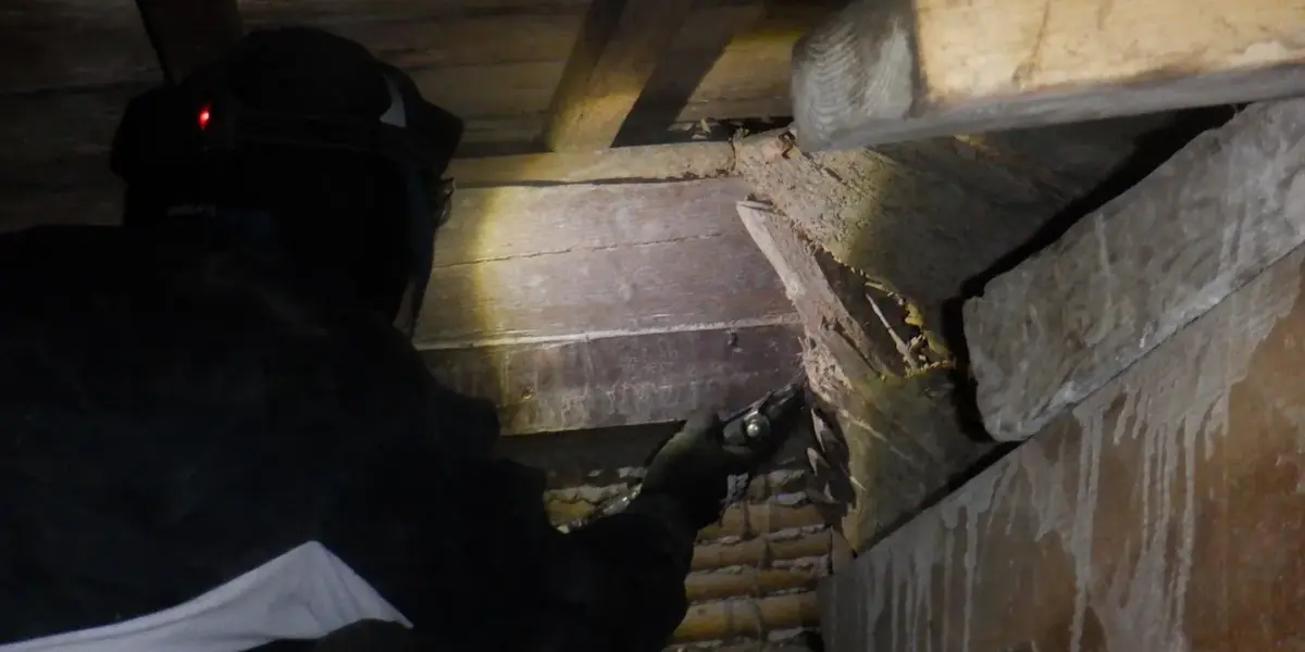 2025年リタライズのシロアリ駆除に対する方針