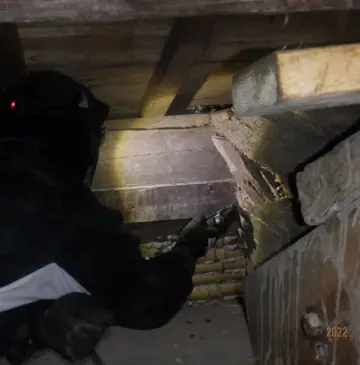 2025年リタライズのシロアリ駆除に対する方針