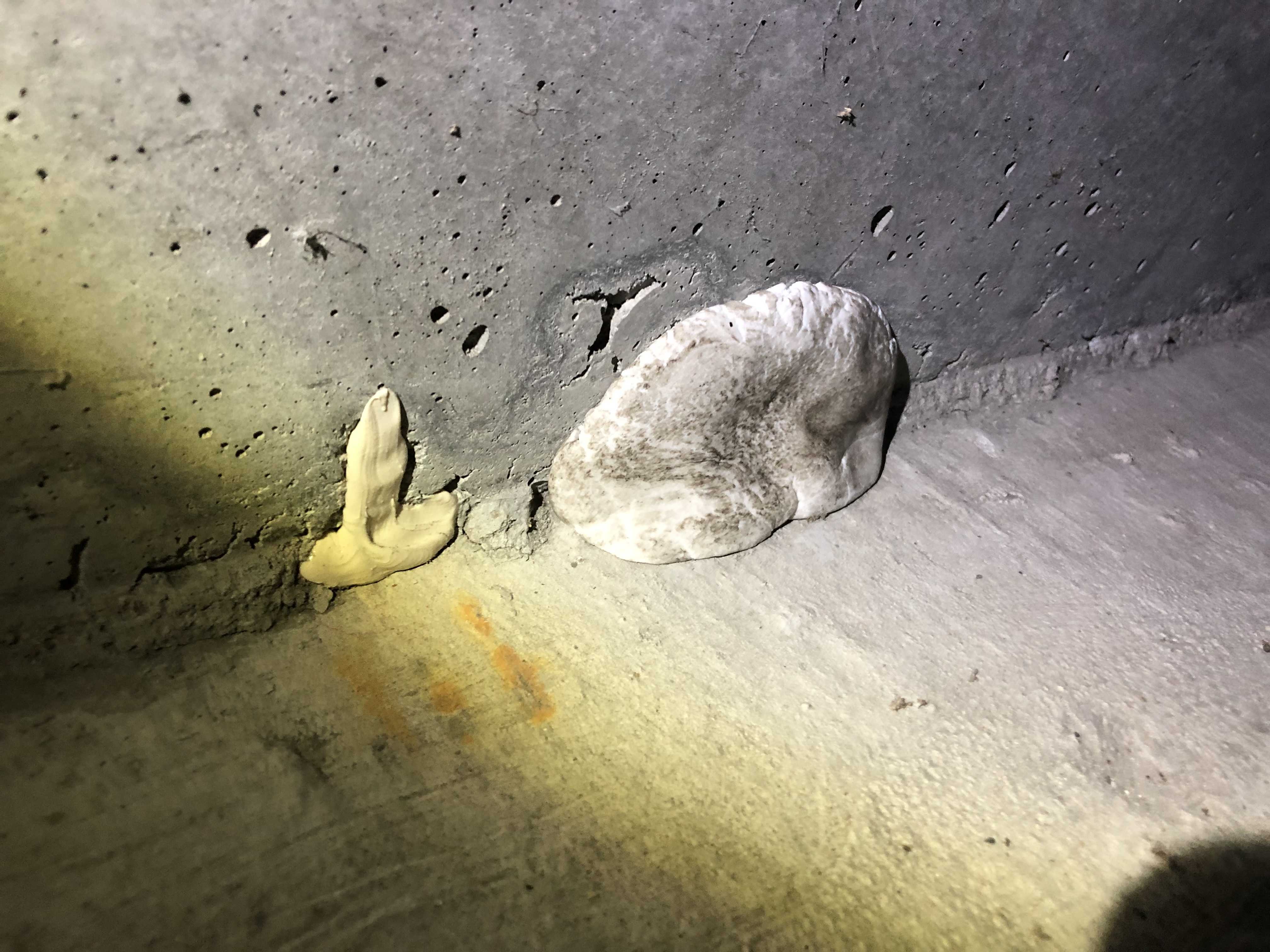 大分市某お寺さまホウ酸防腐防蟻施工事例施工写真