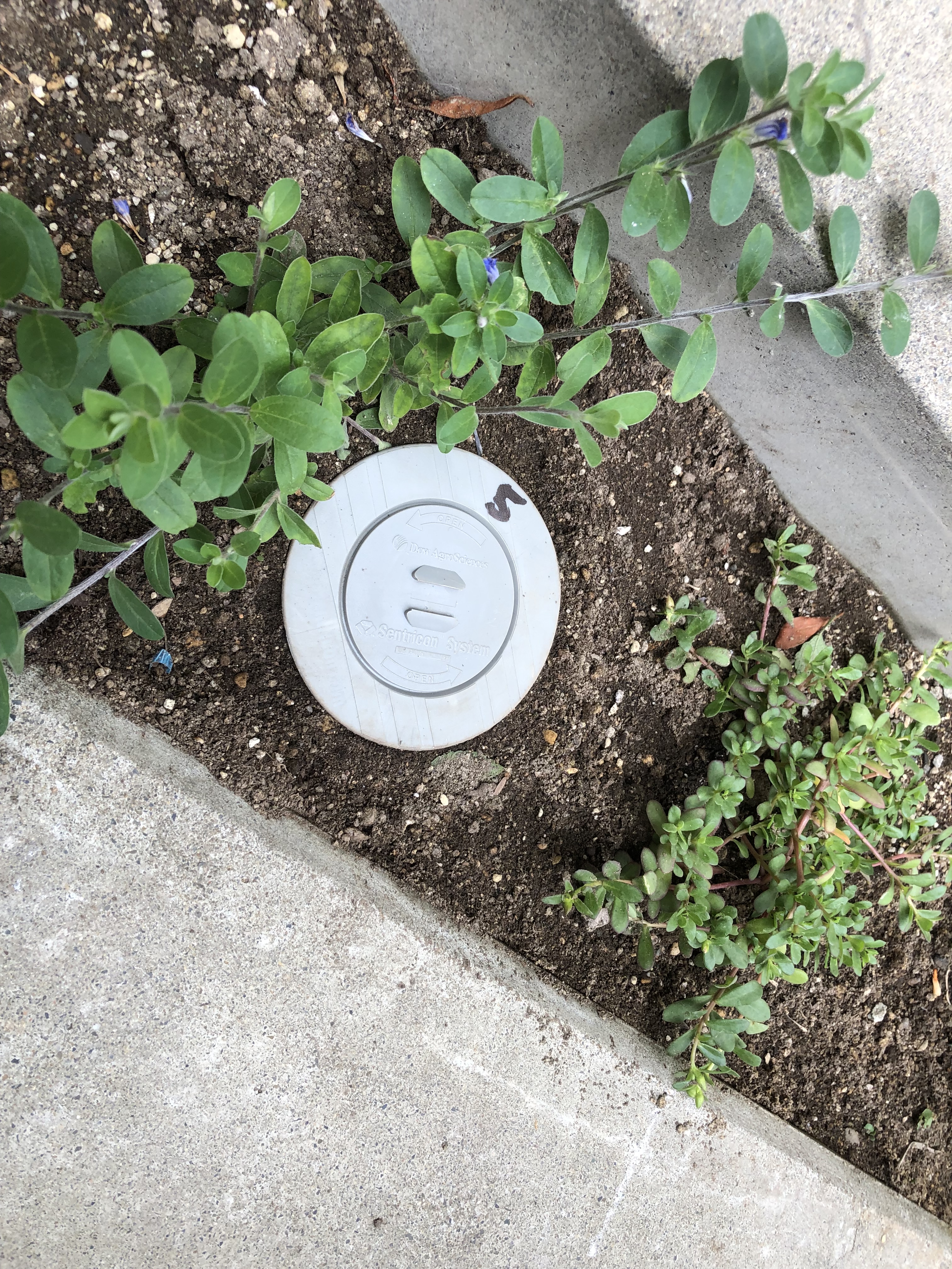 別府市N様邸イエシロアリ駆除　維持管理型ベイト工法施工写真