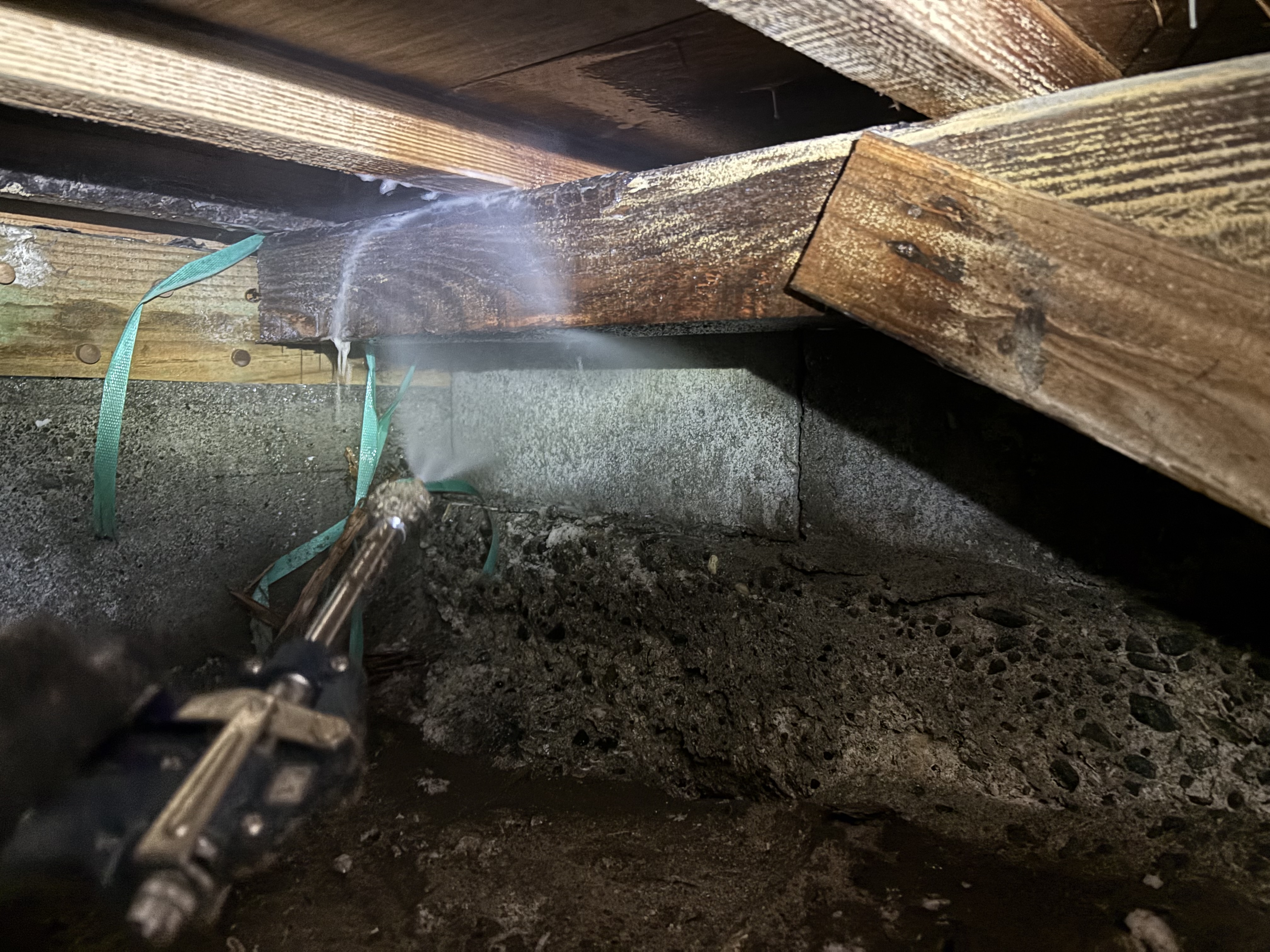 大分市B様邸床下・天井裏一部ヤマトシロアリ駆除施工写真