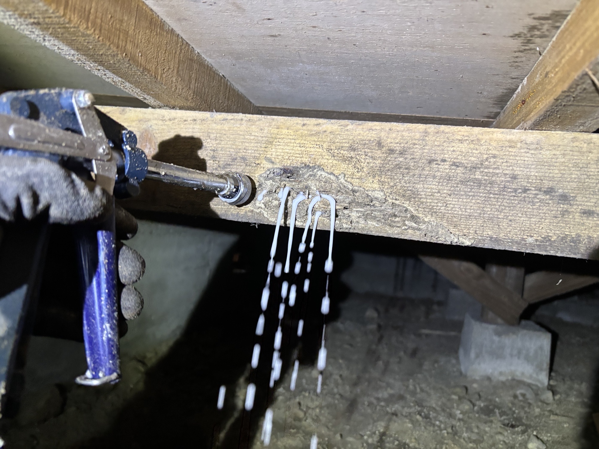 大分市B様邸床下・天井裏一部ヤマトシロアリ駆除施工写真