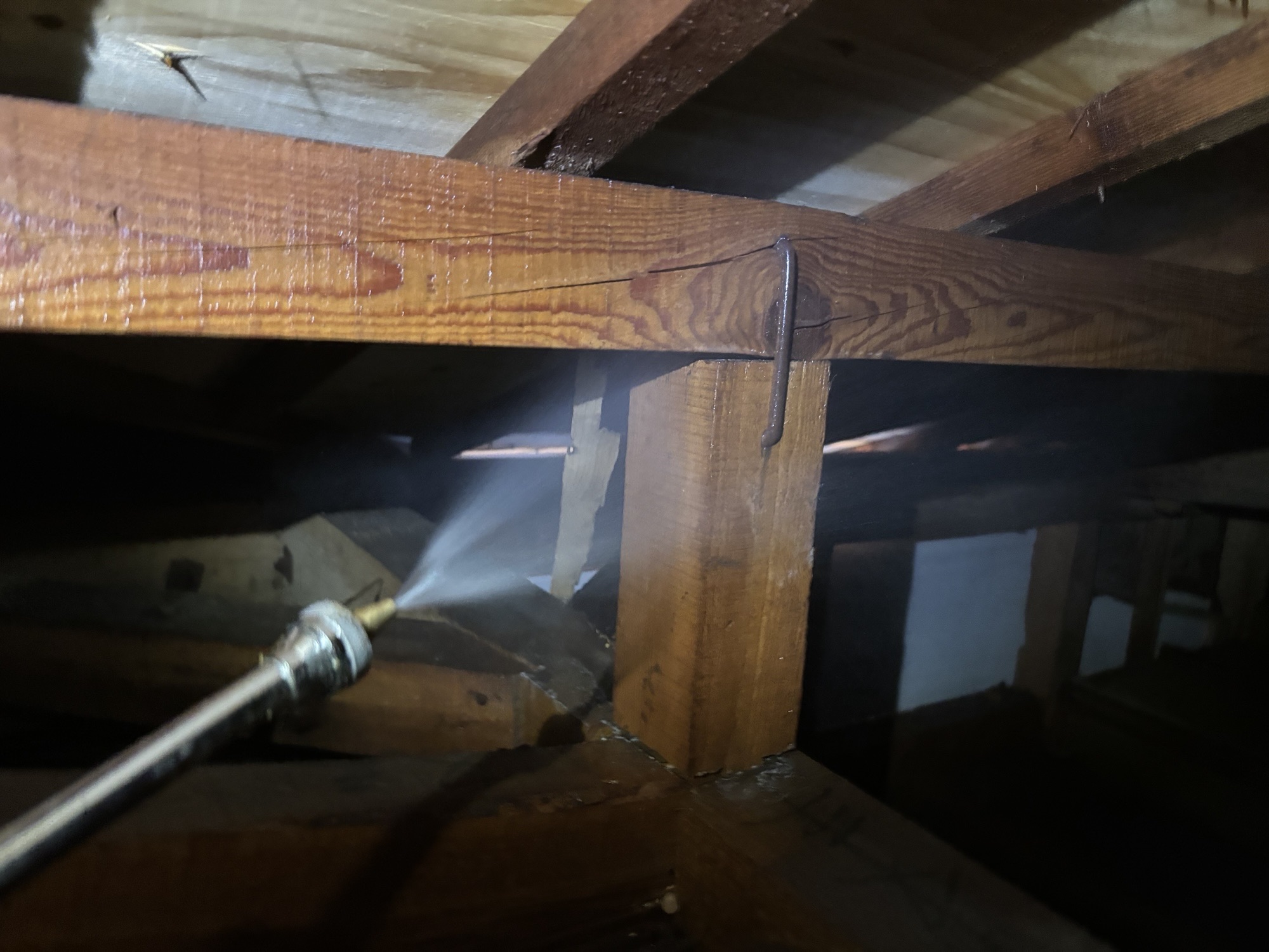 大分市B様邸床下・天井裏一部ヤマトシロアリ駆除施工写真