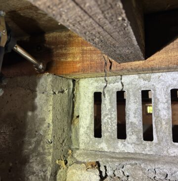 杵築市M様邸母屋ヤマトシロアリ駆除施工写真