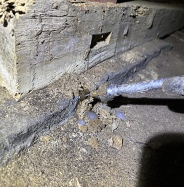 大分市G様邸ヤマトシロアリ駆除施工写真