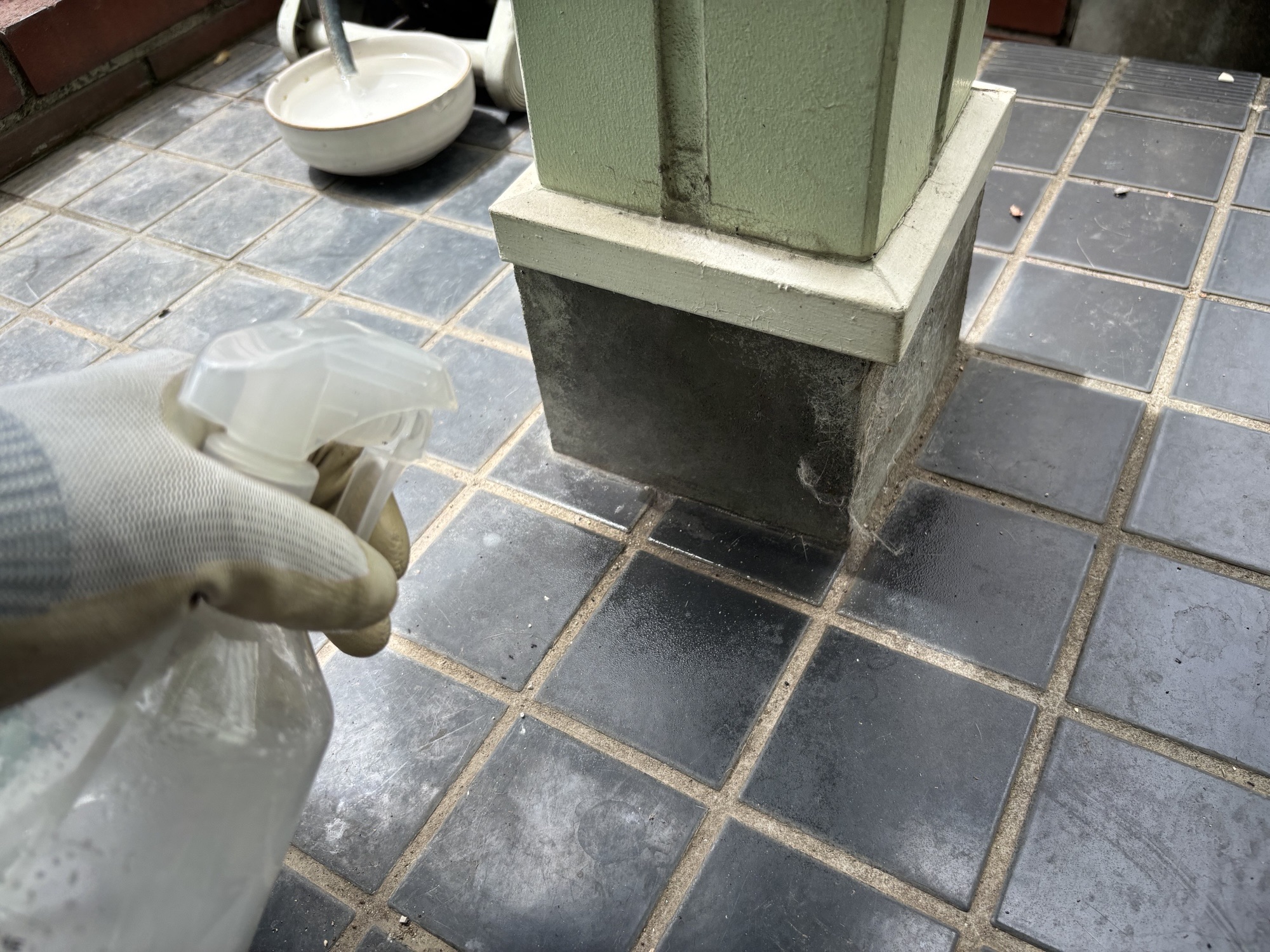 大分市S様邸害虫対策施工写真