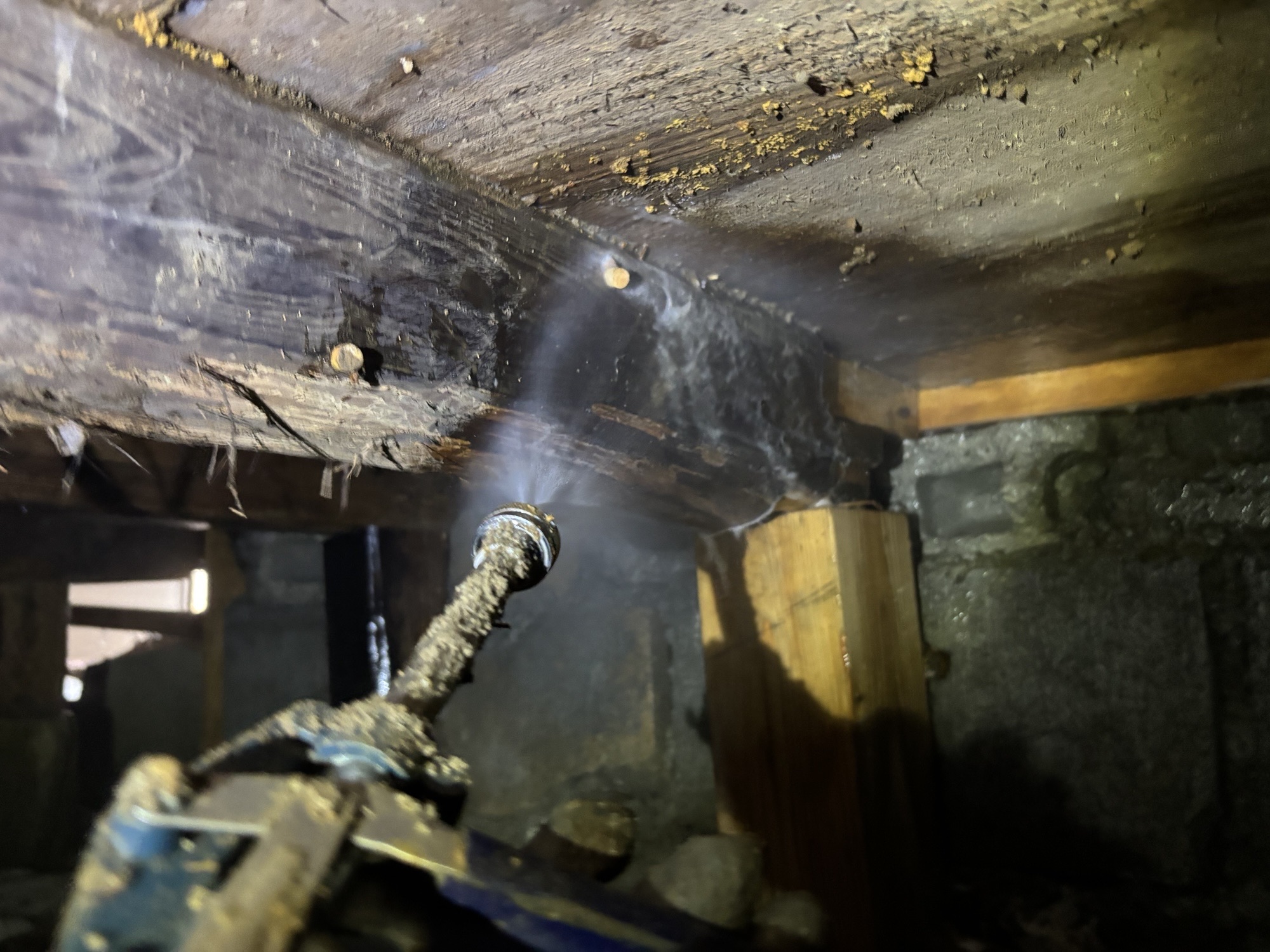 大分市W様邸母屋及び倉庫ヤマトシロアリ駆除施工写真