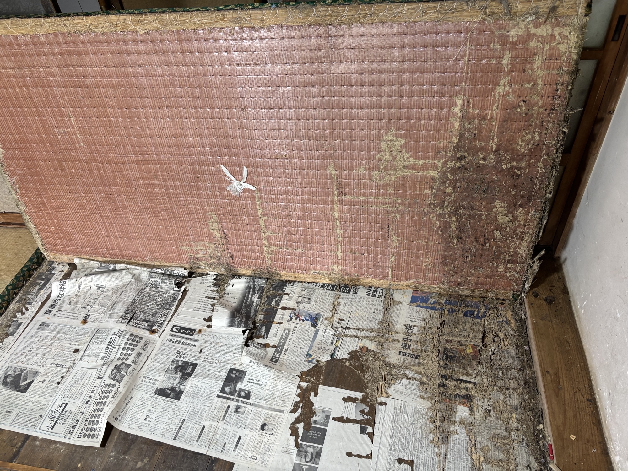 大分市W様邸母屋及び倉庫ヤマトシロアリ駆除施工写真