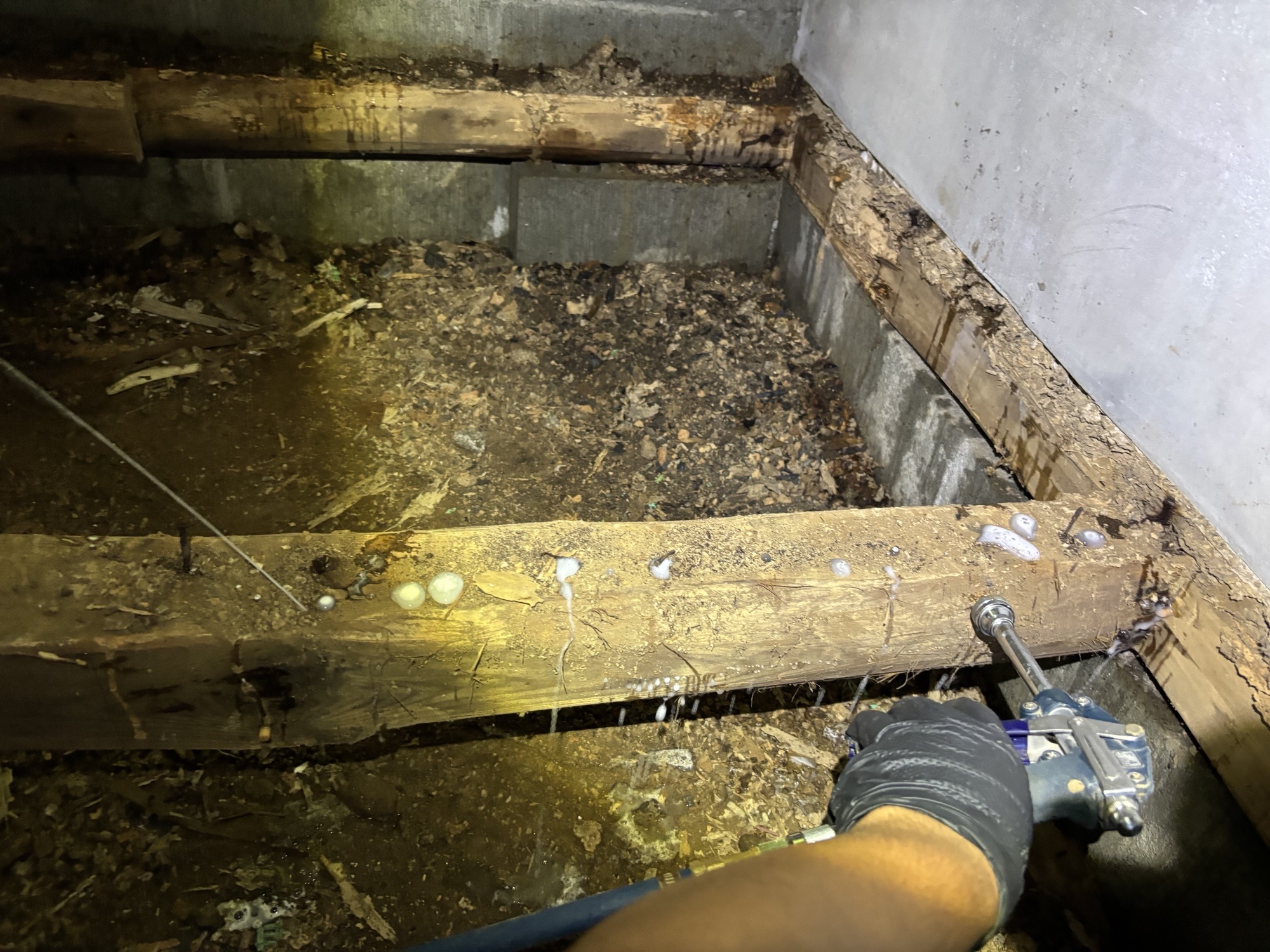 大分市W様邸母屋及び倉庫ヤマトシロアリ駆除施工写真