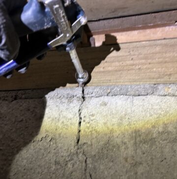 大分市A様貸家ヤマトシロアリ駆除施工写真